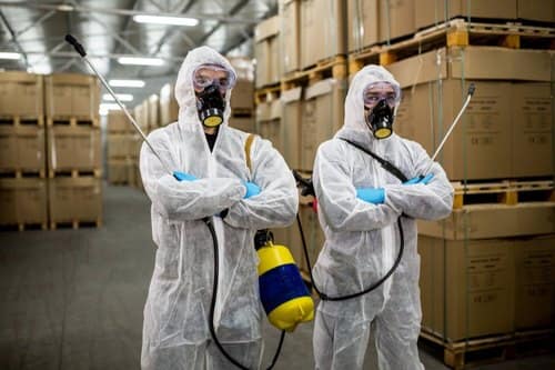 Best Commercial Pest Control Service in Melbourne