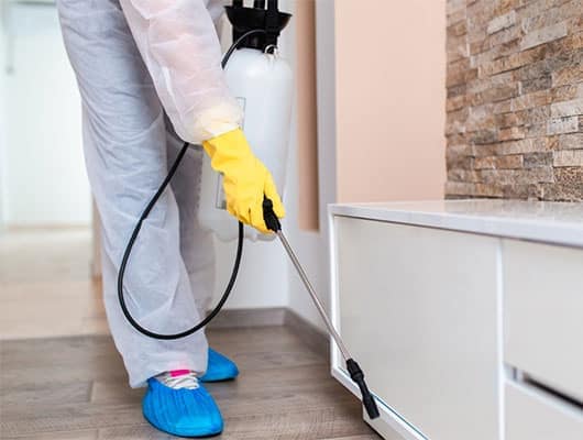 pest control melbourne