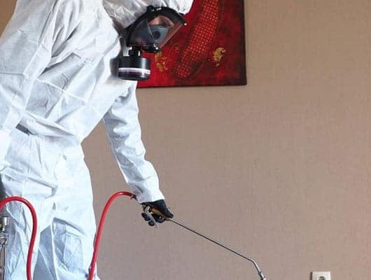 Pest Disinfection
