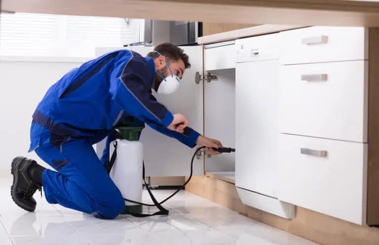 Pest control melbounre