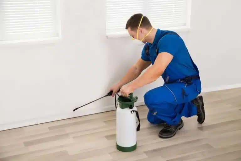 pest-control-coburg