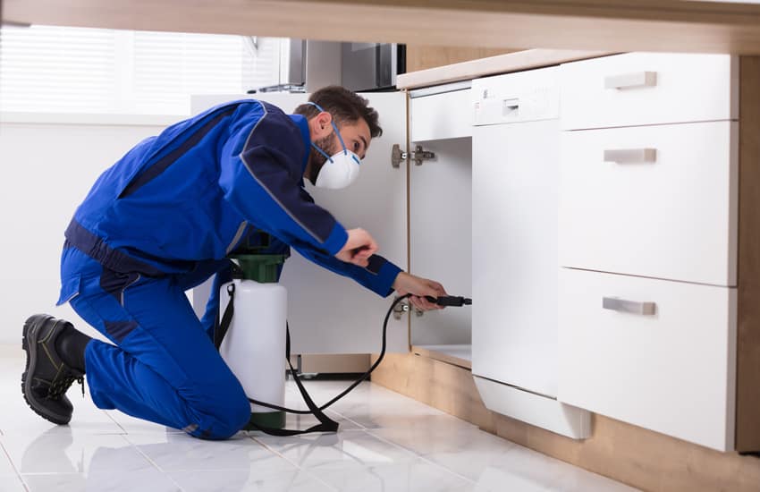 Residential Pest Control Service Melbourne