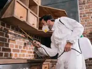 Residential-Pest-Control-Melbourne