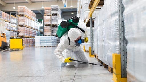 Pest Control in Food Industry – Everything You Need to Know