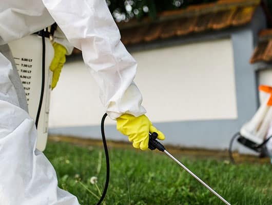 Residential Pest Control